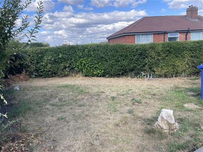 Picture 15
